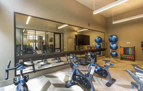 Luxury Houston Apartments